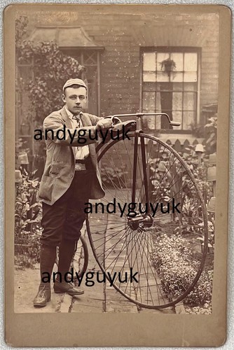 Cabinet card superb cyclist - cabinet,
