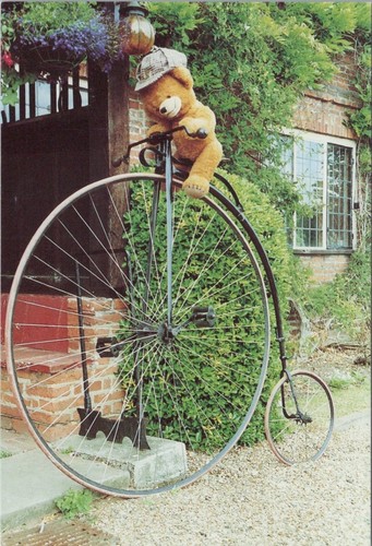 Novelty postcard teddy bear - novelty, postcard: