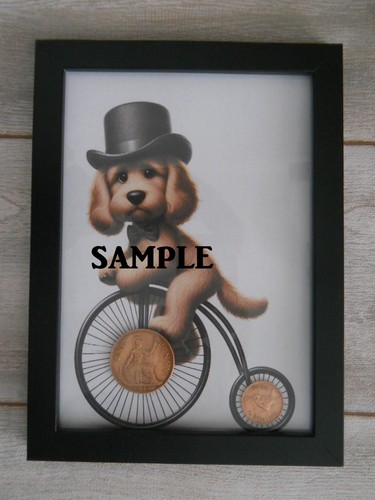 Framed picture cockerpoo - of, a